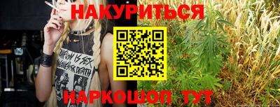 стафф Пенза