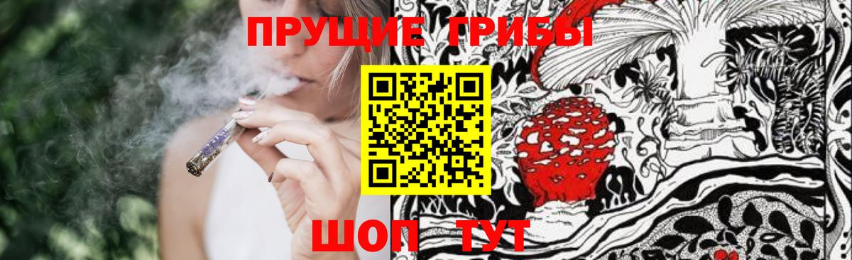 Прохладный  Псилоцибиновые грибы GOLDEN TEACHER  Вход с VPN 