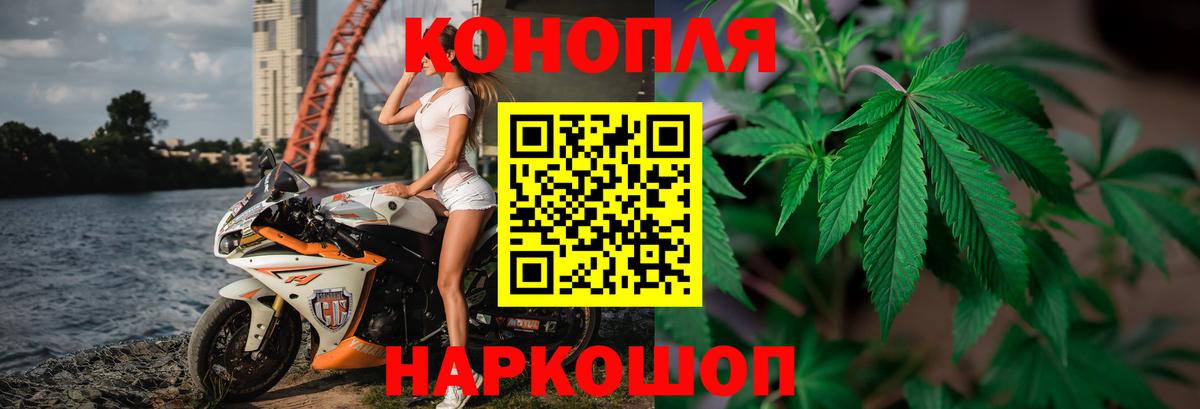 Каннабис Amnesia Прохладный